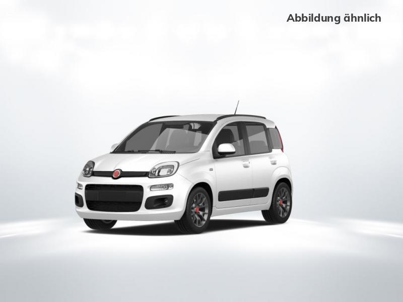 FIAT  Panda 1,0 70PS Hybrid City*678, COLORE ESTERNO (Weiss)